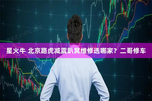 星火牛 北京路虎减震趴窝维修选哪家？二哥修车