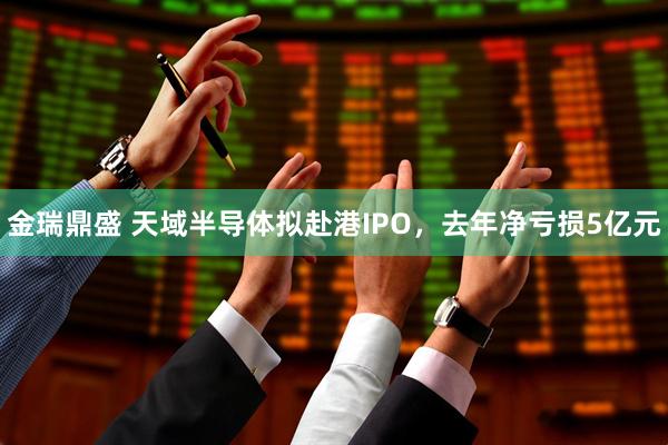 金瑞鼎盛 天域半导体拟赴港IPO,去年净亏损5亿元