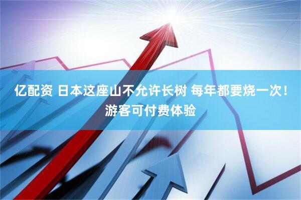 亿配资 日本这座山不允许长树 每年都要烧一次！游客可付费体验