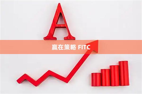 赢在策略 FITC